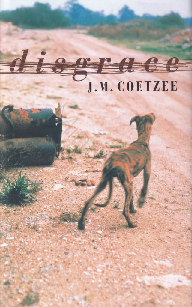 Disgrace Coetzee