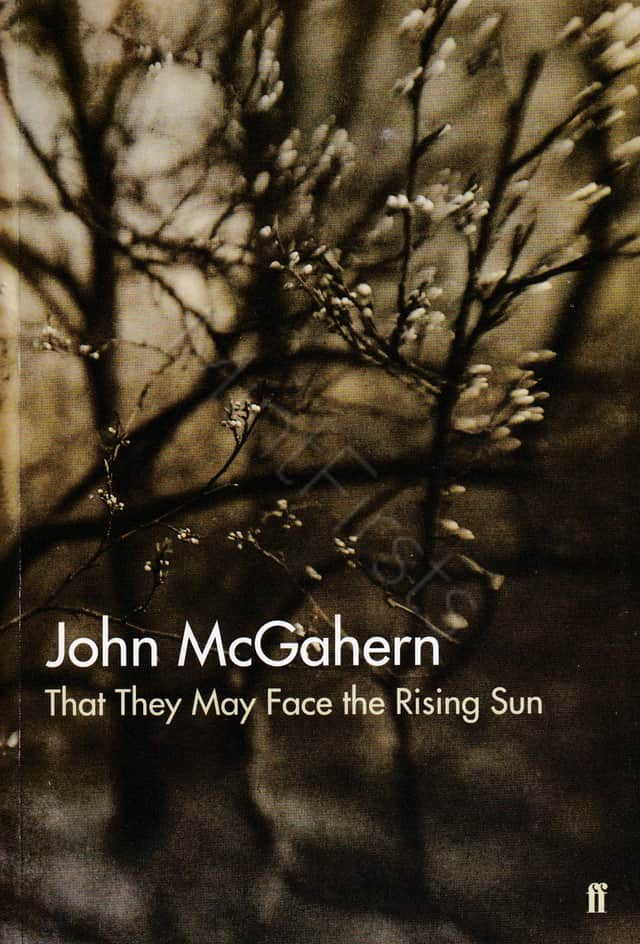 Face Rising Sun John McGahern