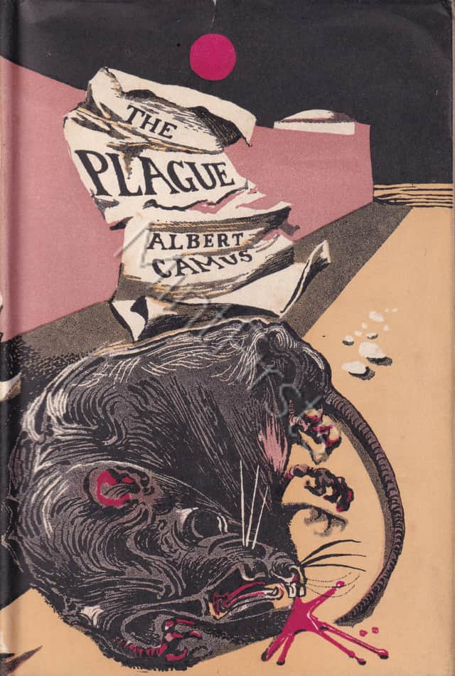 Plague Albert Camus